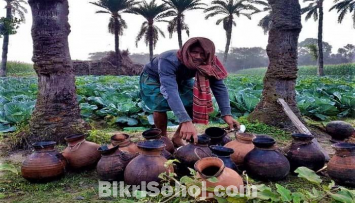 তাজা স্বরুপকাঠির খেজুরের রস হোম ডেলিভারি দেওয়া হয়